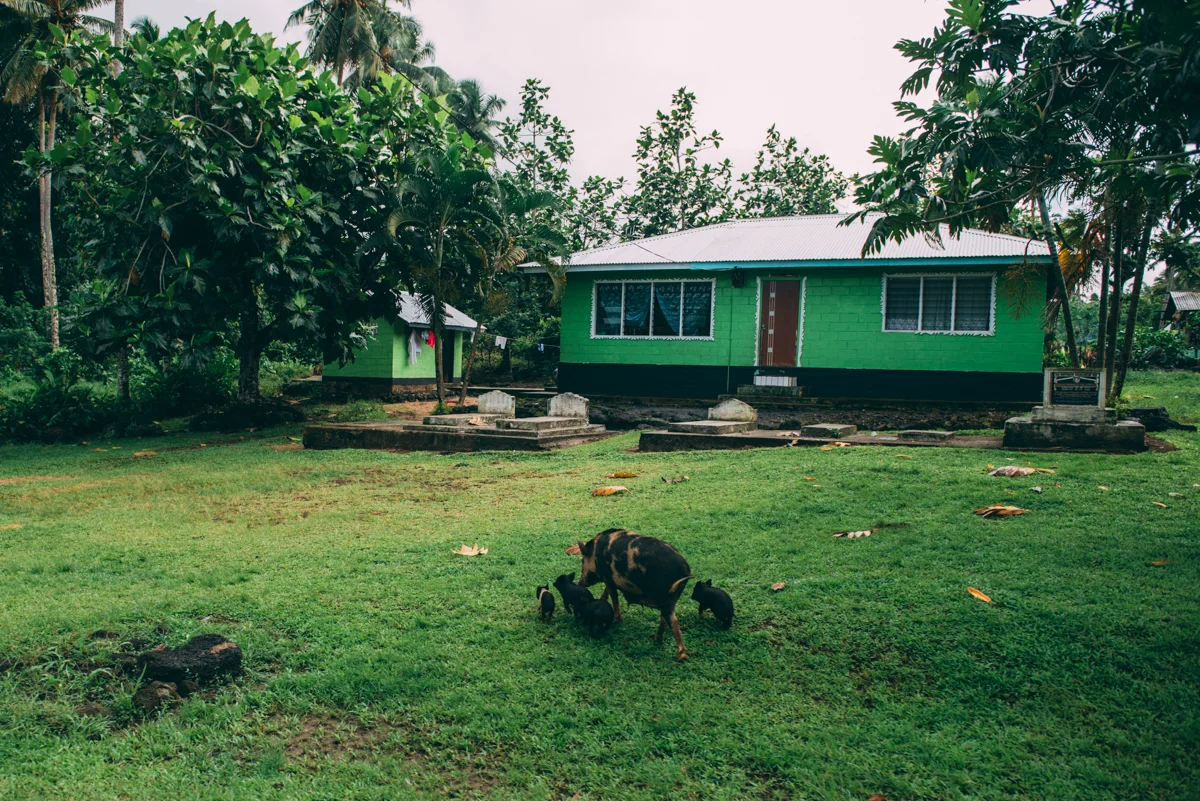 Samoa Blog Lola Photography 128.jpg