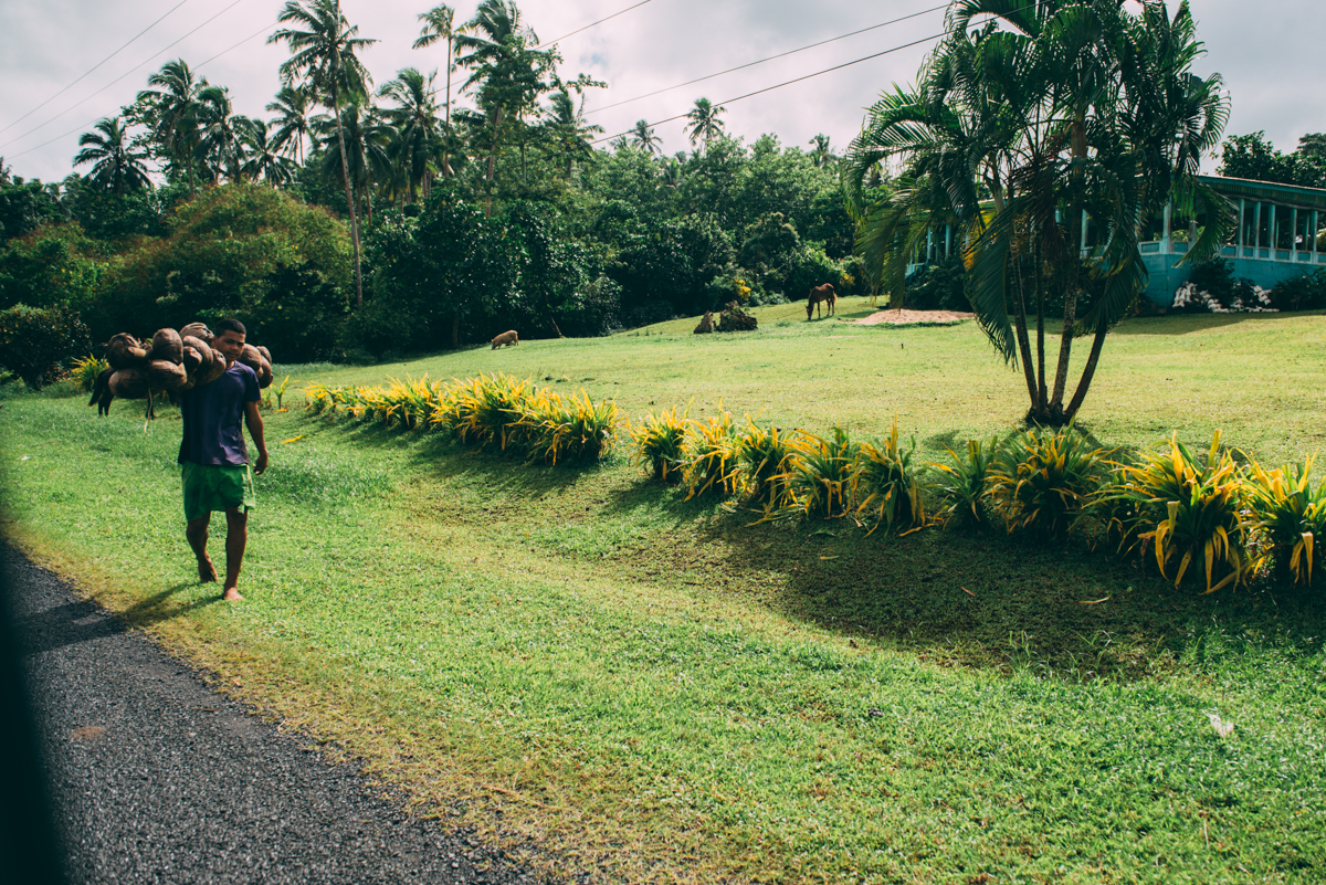 Samoa Blog Lola Photography 130.jpg