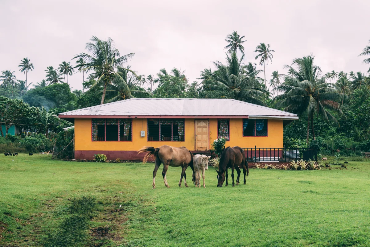 Samoa Blog Lola Photography 133.jpg