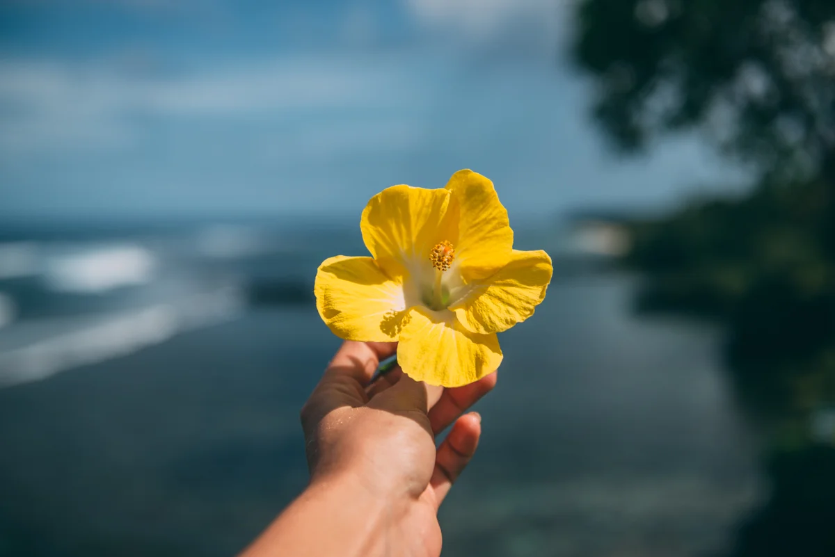 Samoa Blog Lola Photography 230.jpg