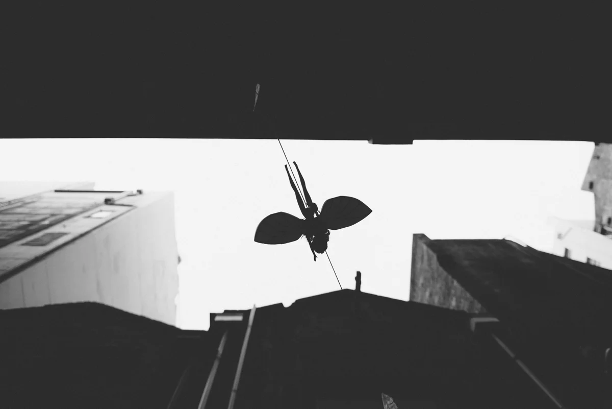 Tourism Victoria Lola Photography_063.jpg