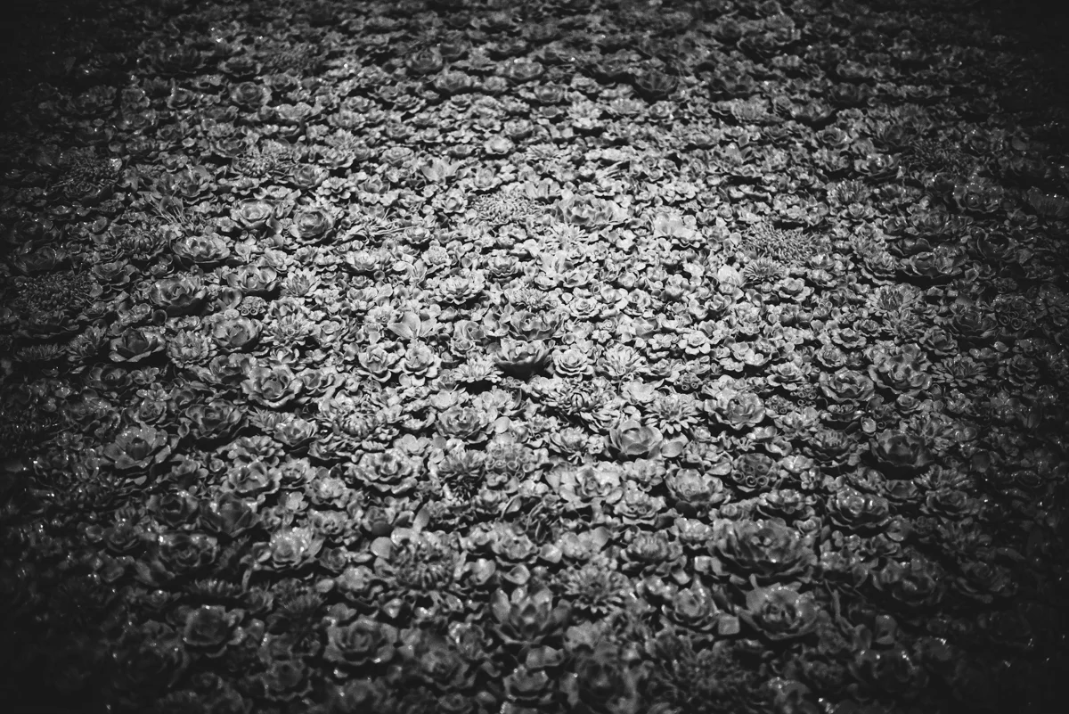 Tourism Victoria Lola Photography_112.jpg