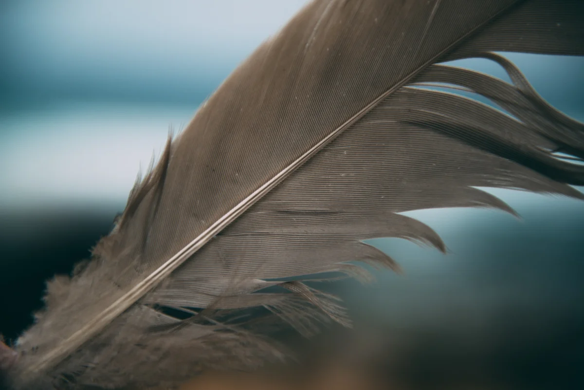 Tourism Victoria Lola Photography_129.jpg