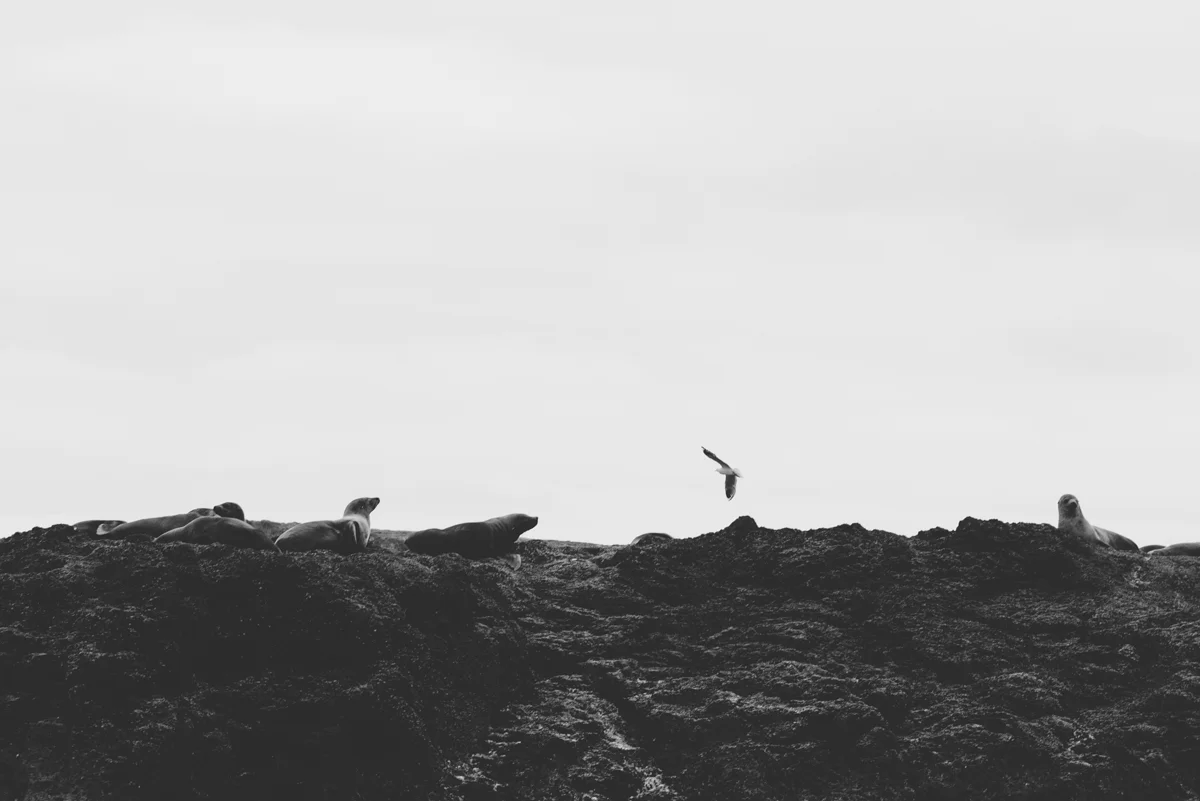 Tourism Victoria Lola Photography_133.jpg