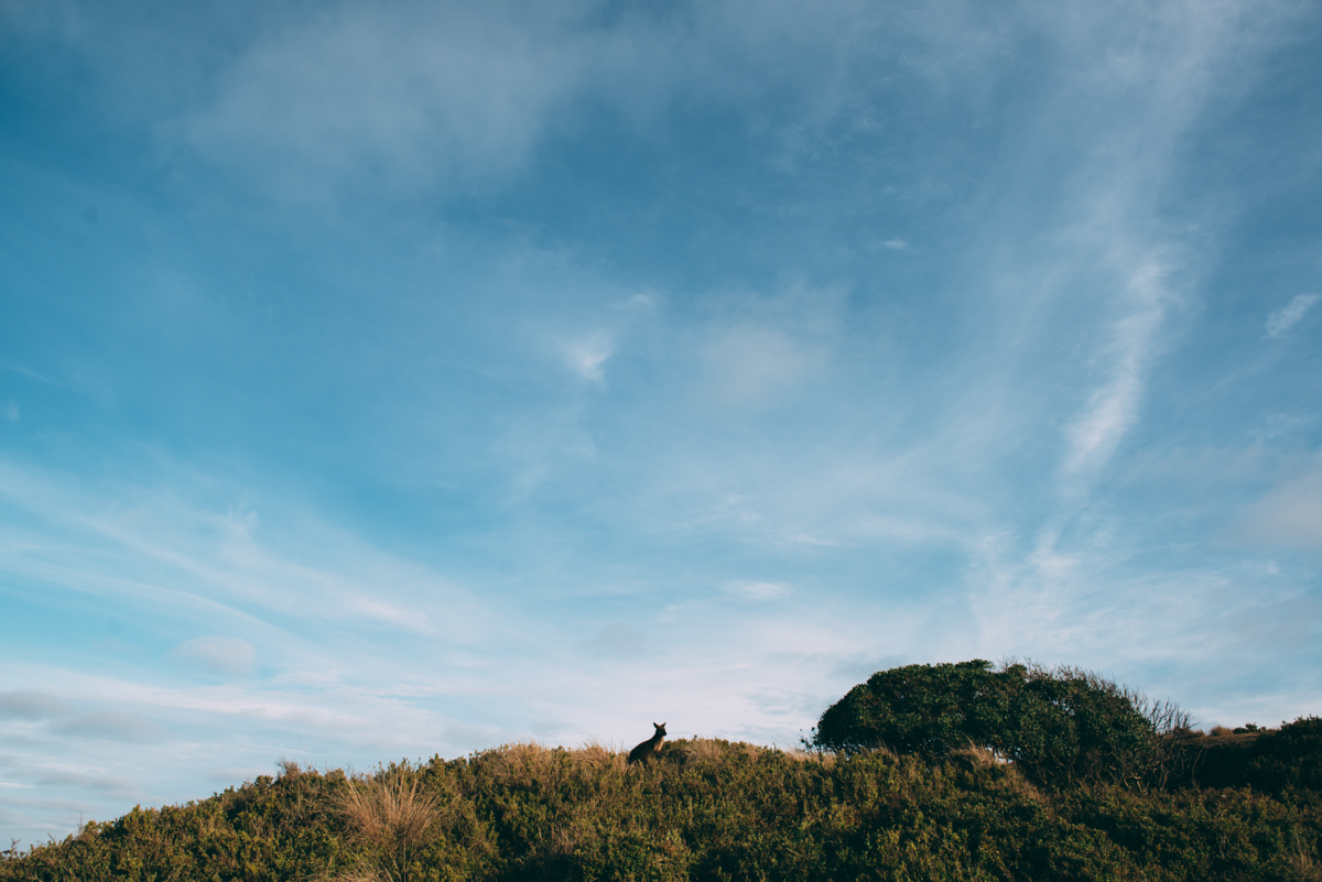 Tourism Victoria Lola Photography_136.jpg