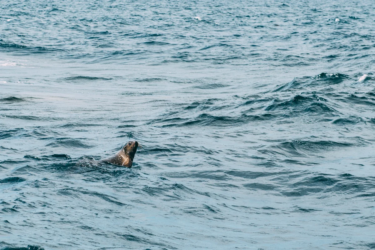 Tourism Victoria Lola Photography_135.jpg