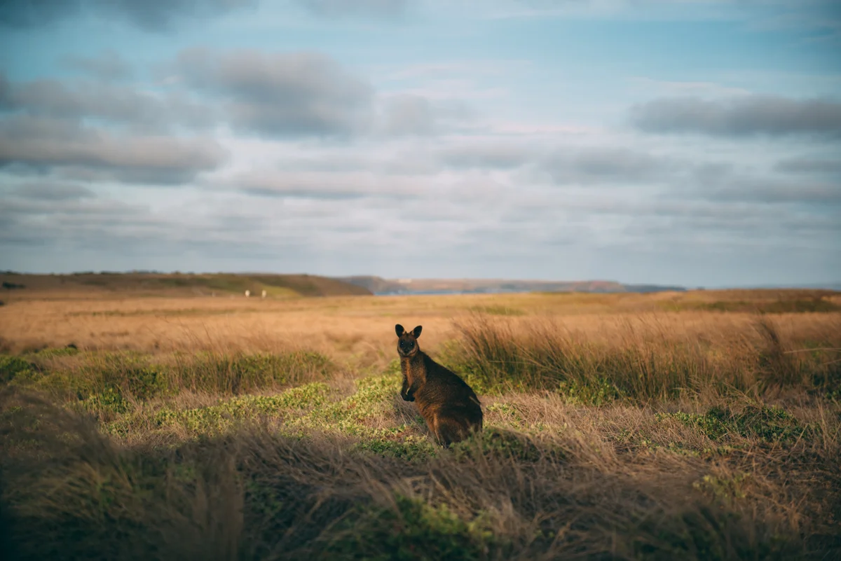 Tourism Victoria Lola Photography_138.jpg