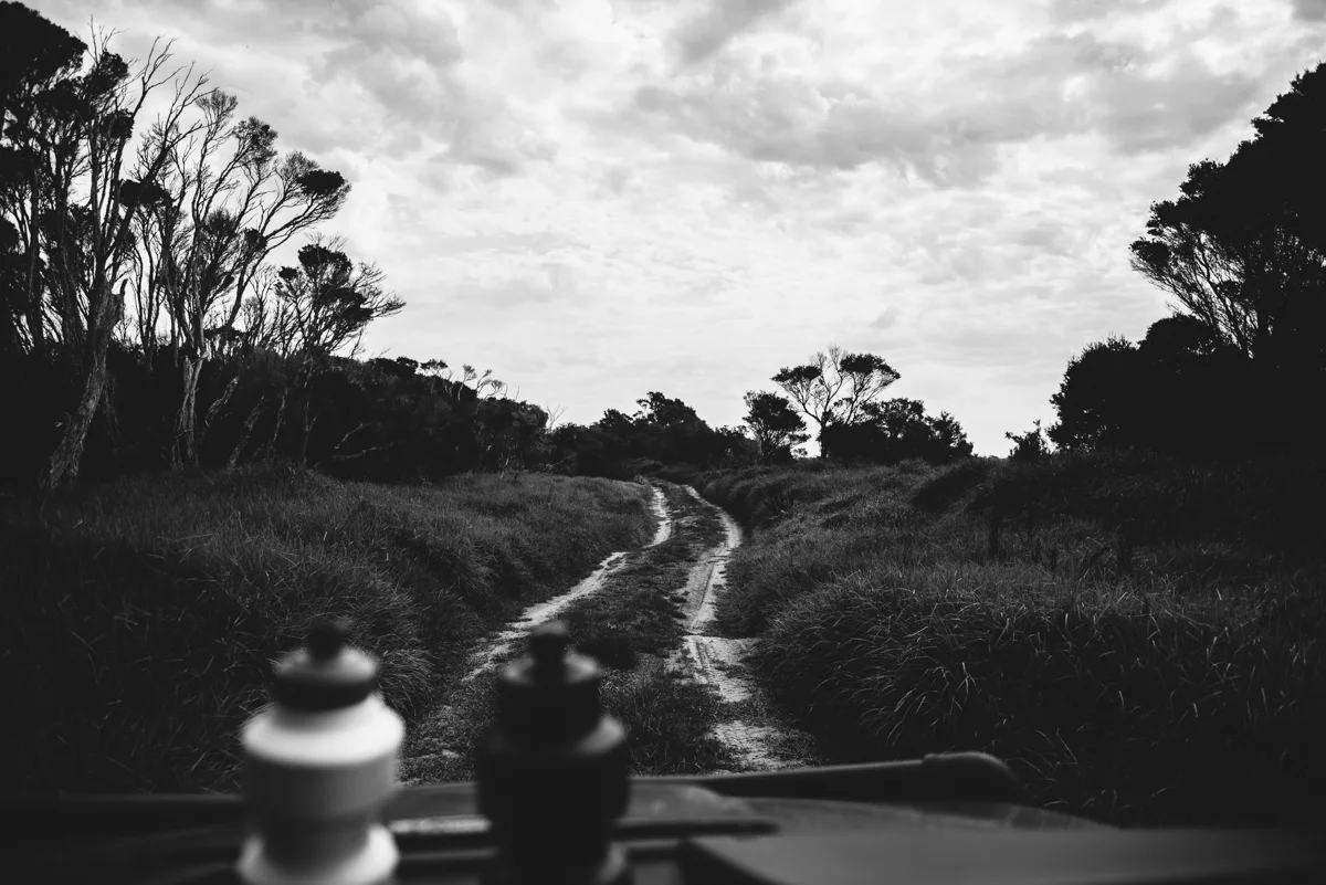 Tourism Victoria Lola Photography_203.jpg