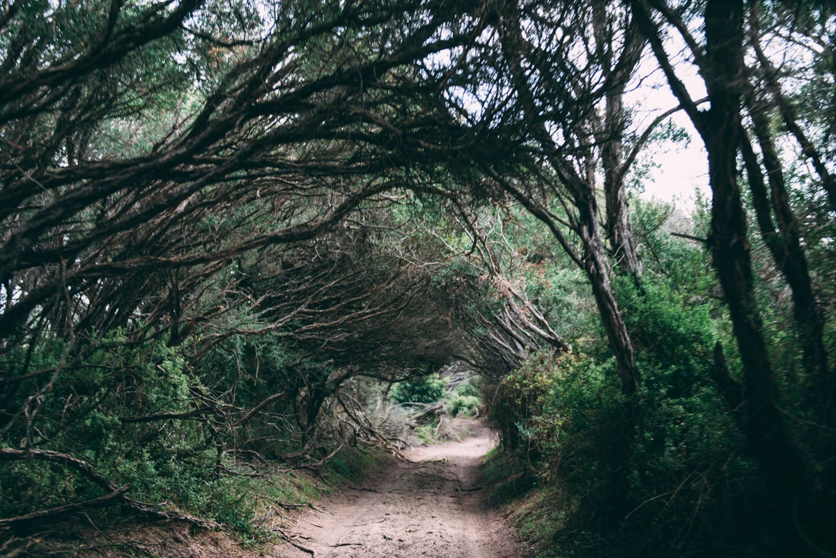 Tourism Victoria Lola Photography_205.jpg