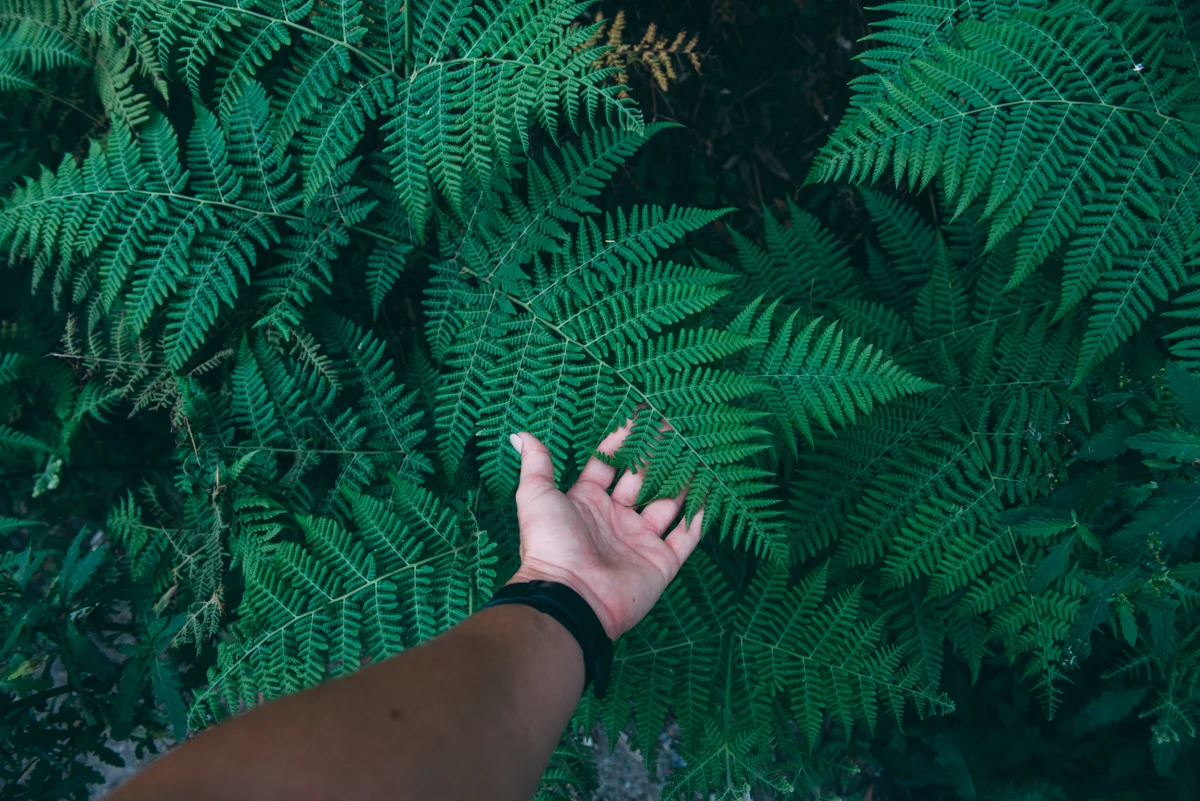 Tourism Victoria Lola Photography_228.jpg