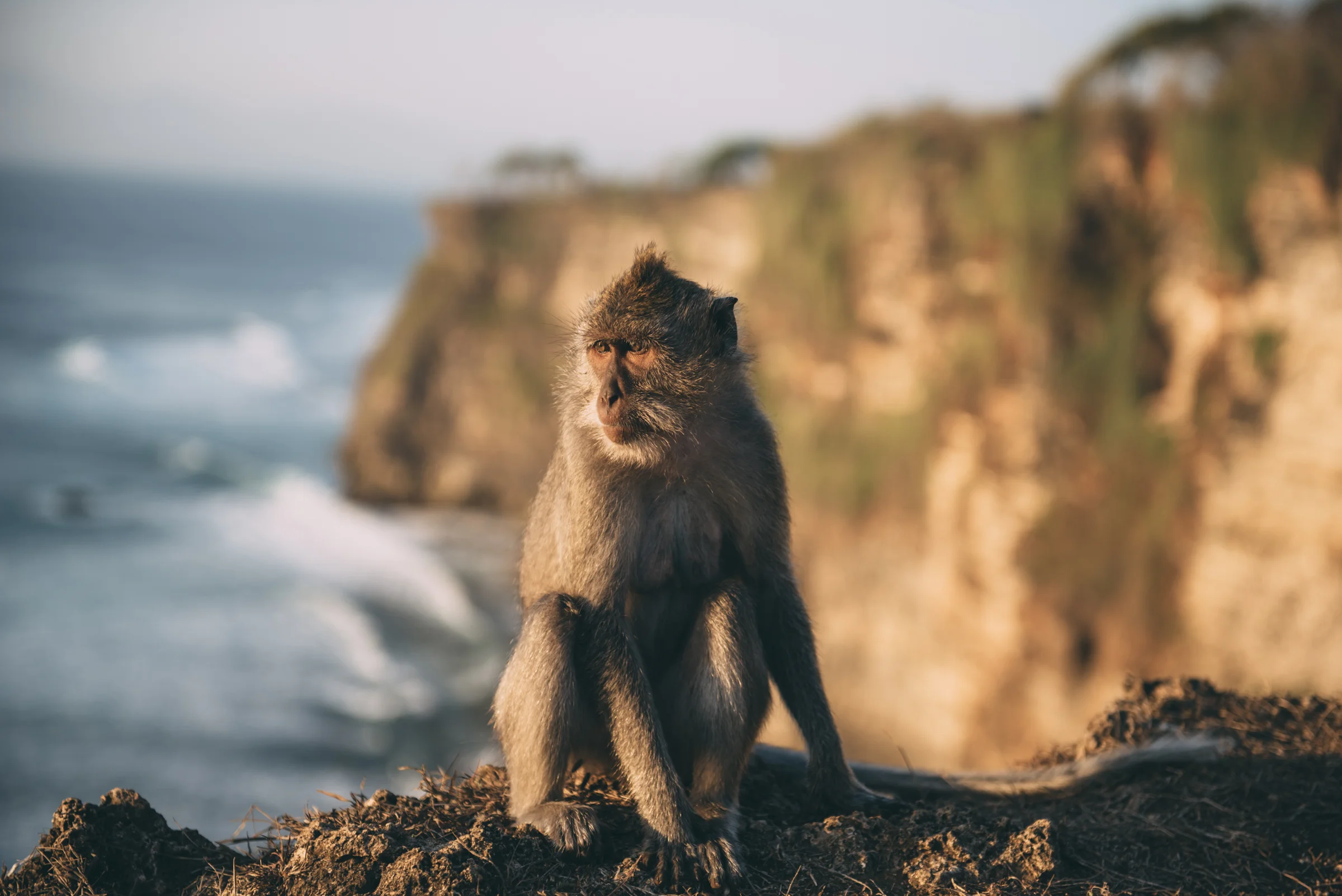 Bali Blog Lola Photography_033.jpg