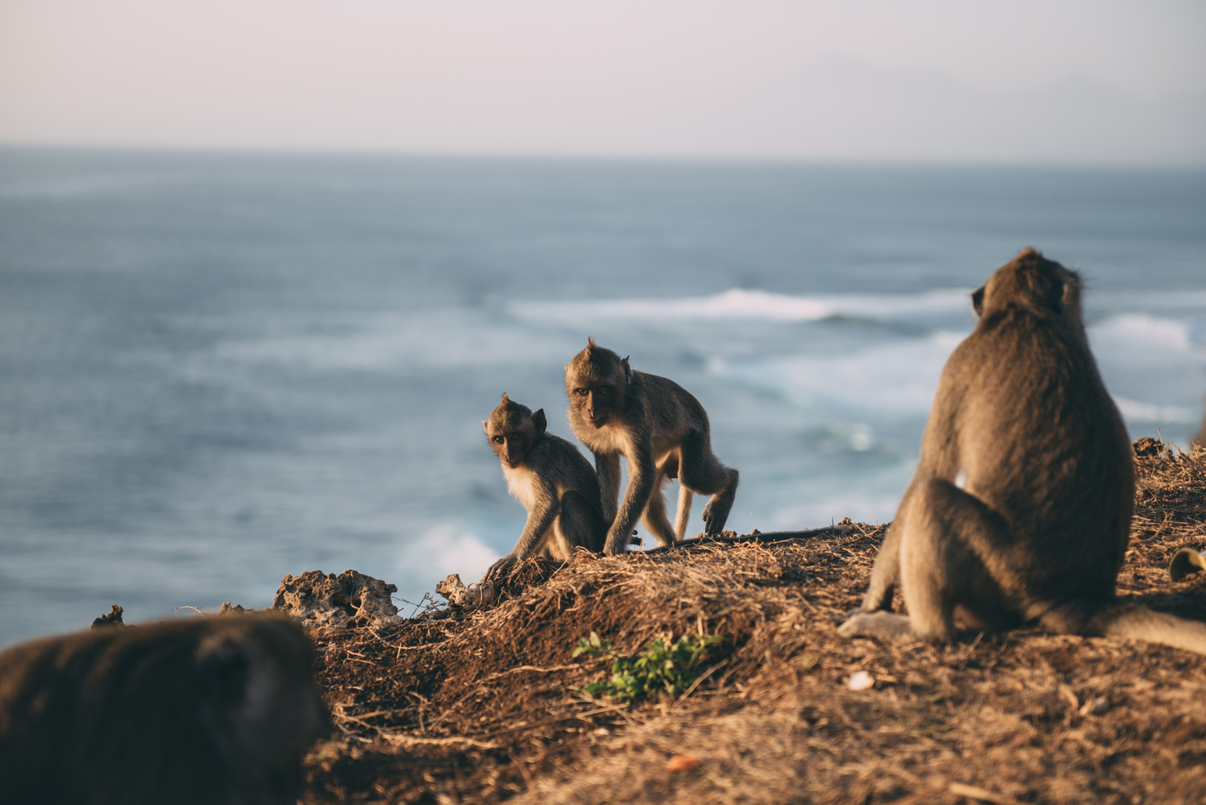 Bali Blog Lola Photography_039.jpg