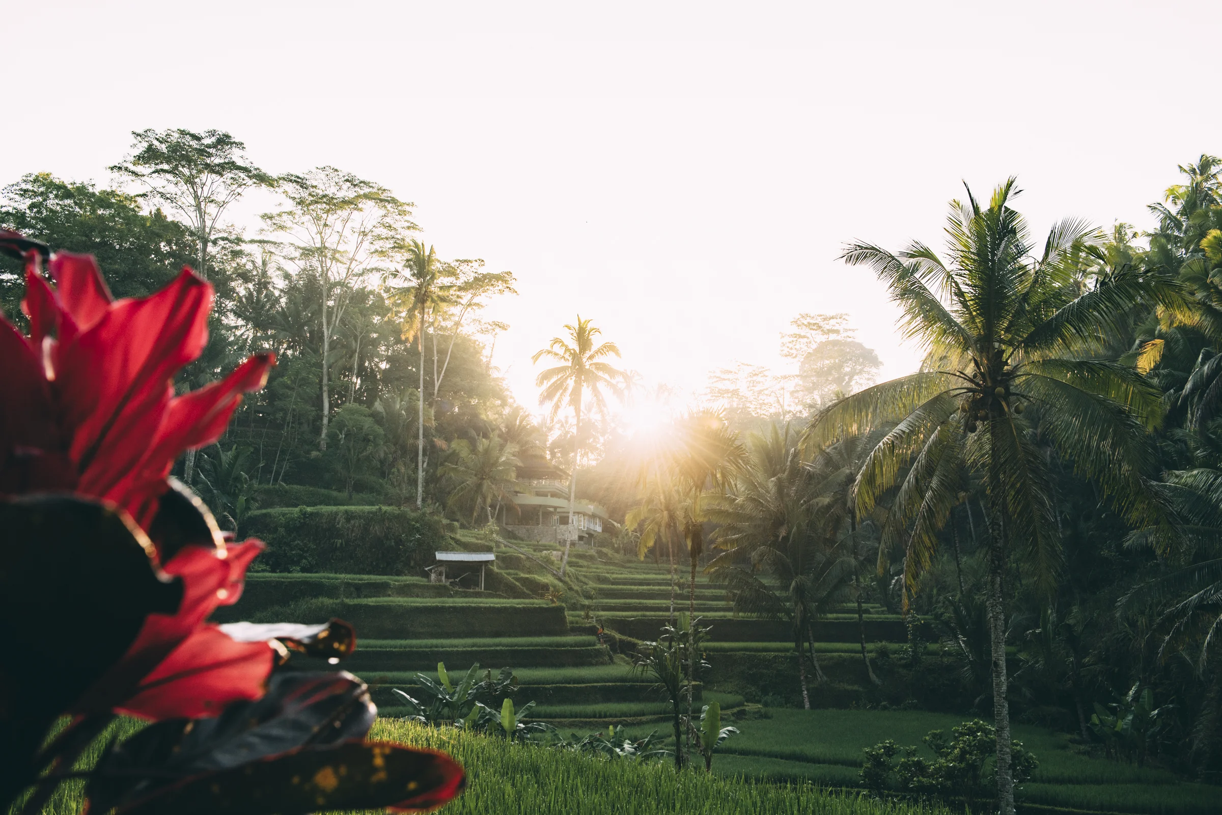 Bali Blog Lola Photography_106.jpg