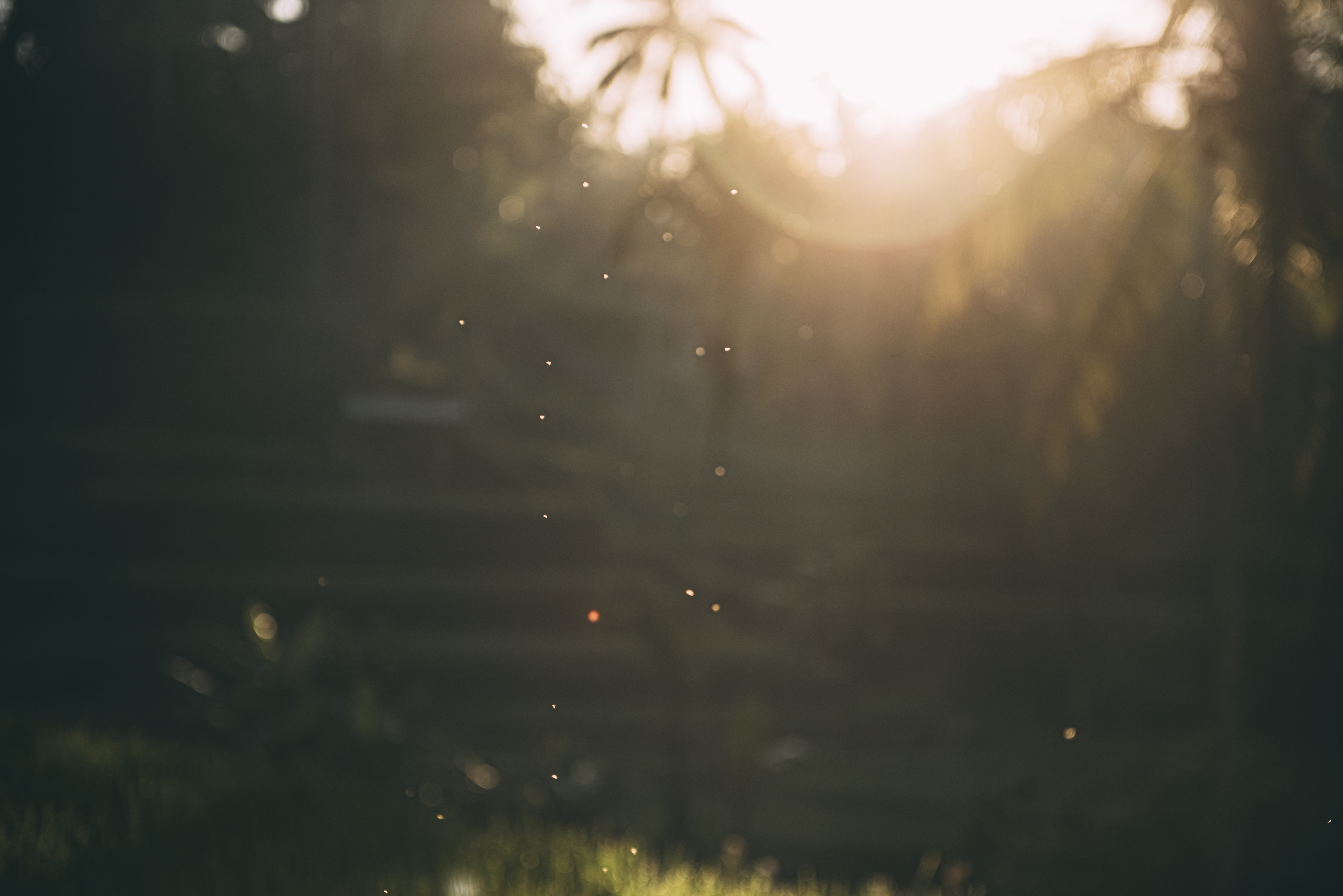 Bali Blog Lola Photography_109.jpg