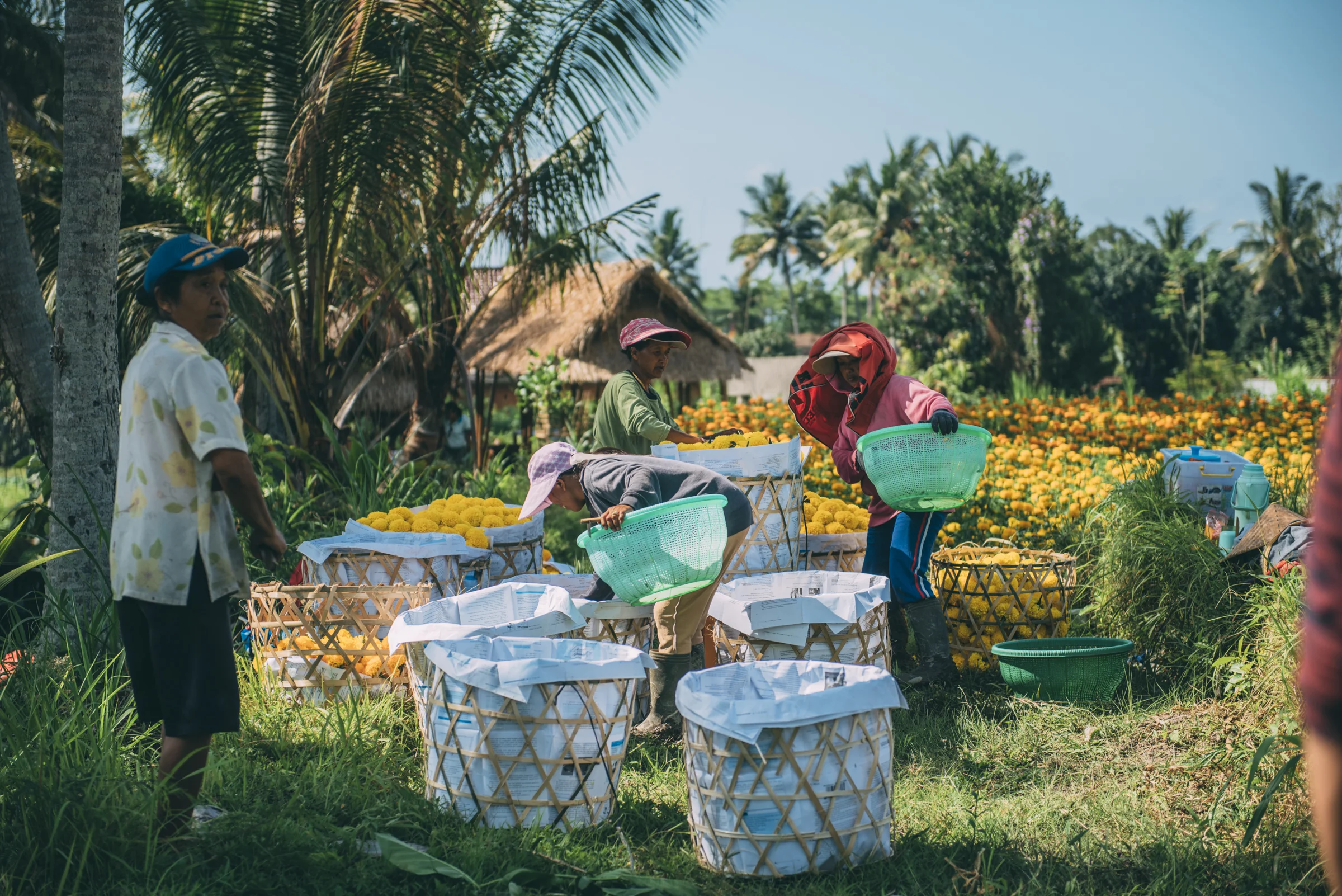 Bali Blog Lola Photography_163.jpg