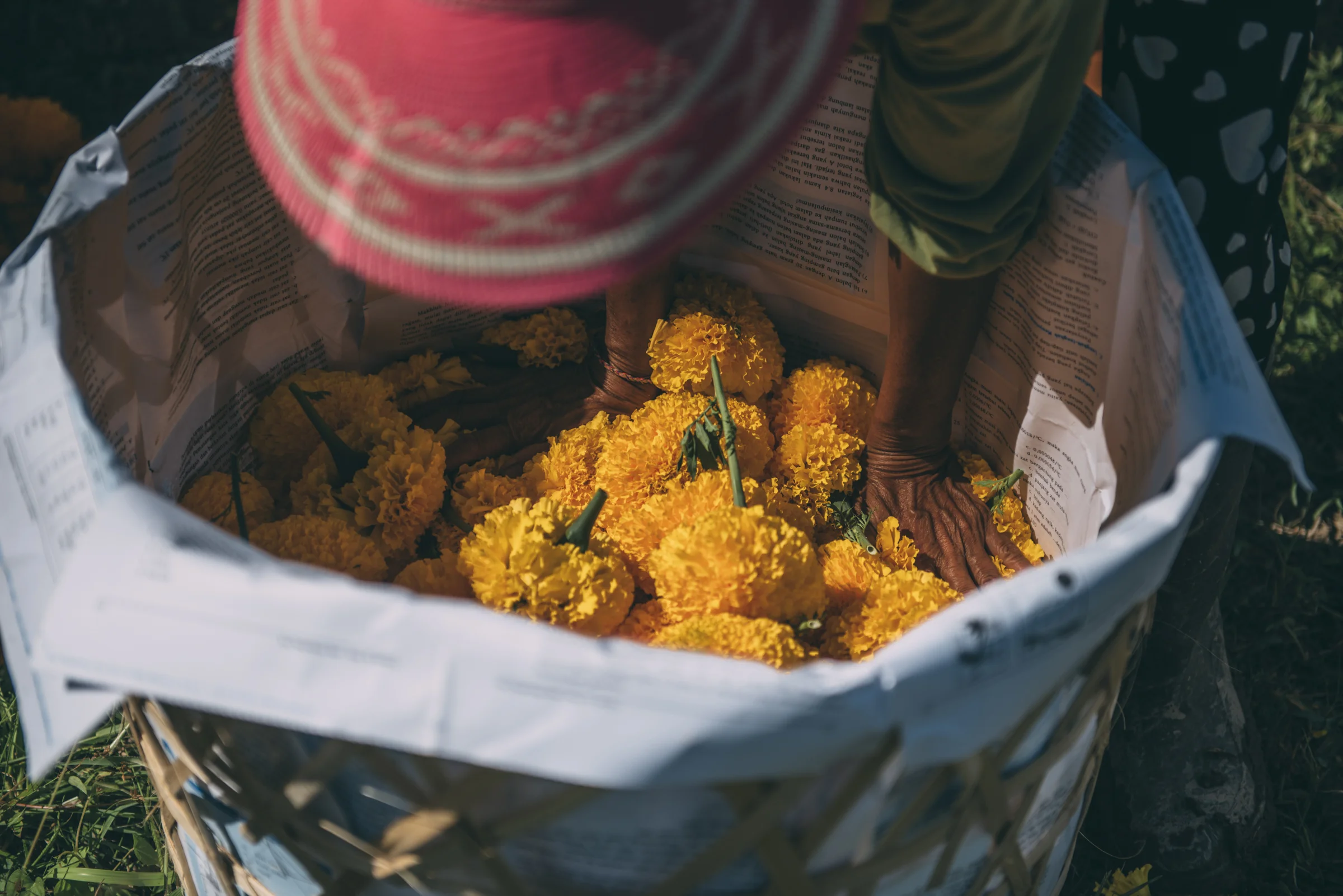 Bali Blog Lola Photography_170.jpg