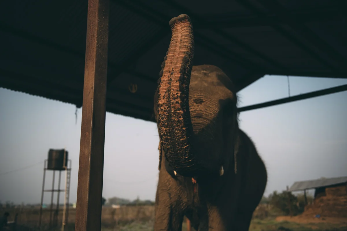 Nepal Blog Lola Photography_534.jpg