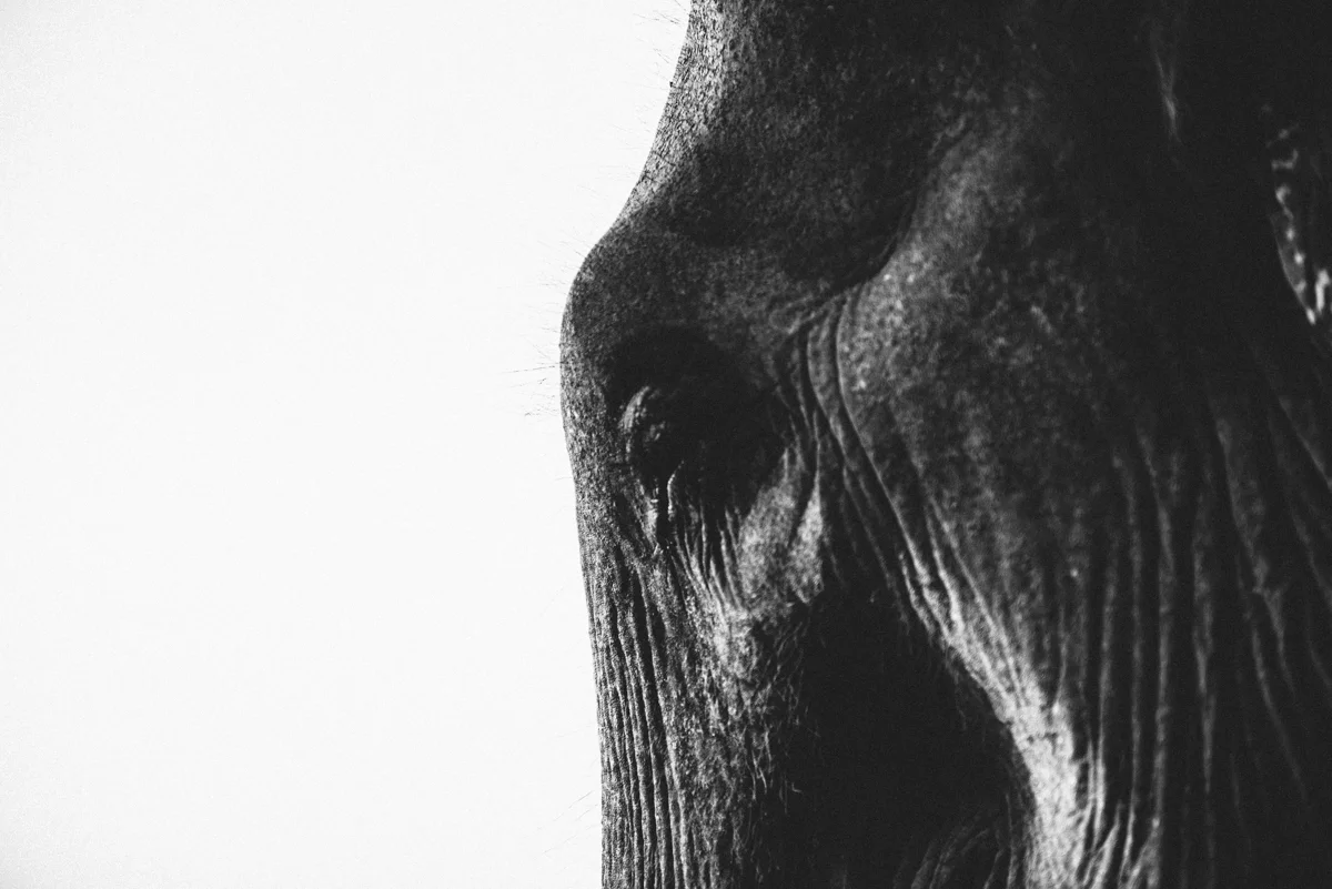 Nepal Blog Lola Photography_539.jpg