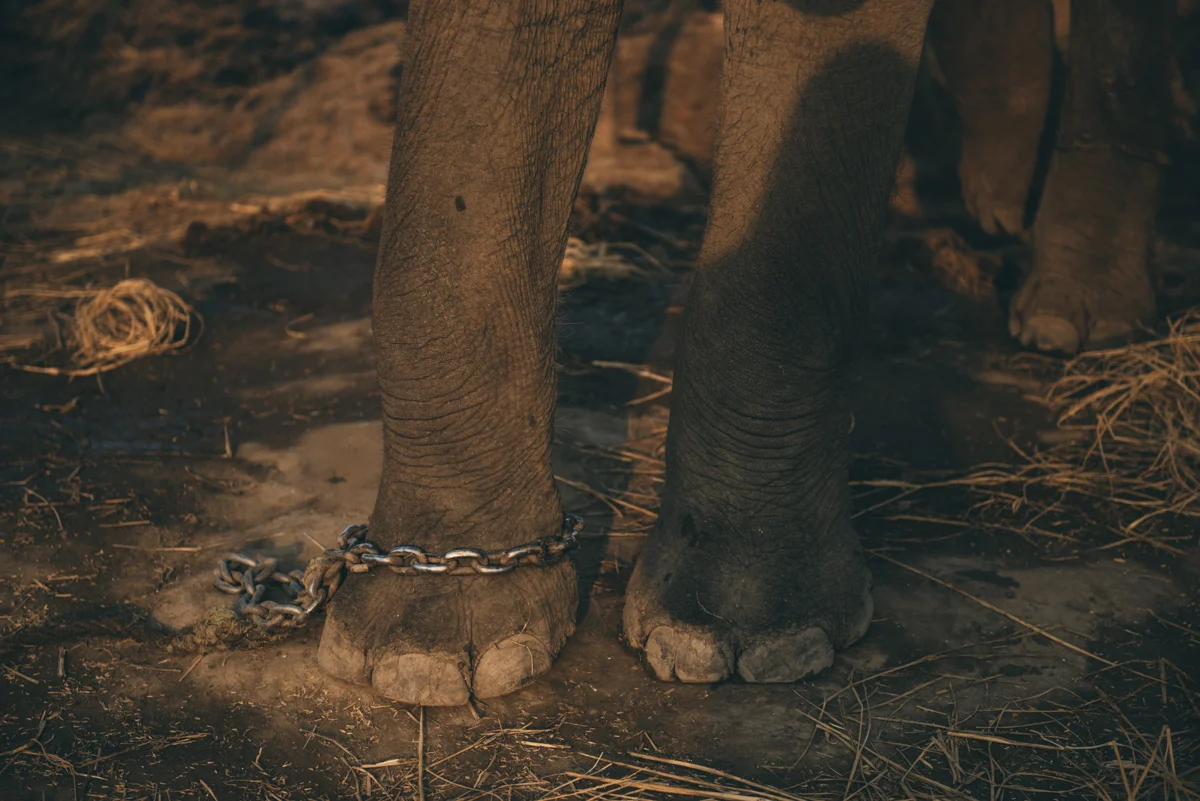 Nepal Blog Lola Photography_541.jpg