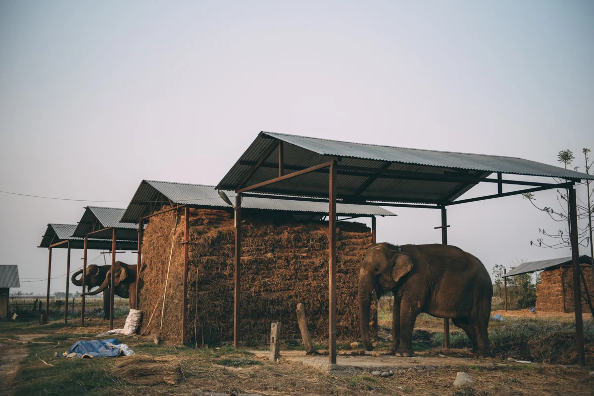 Nepal Blog Lola Photography_546.jpg