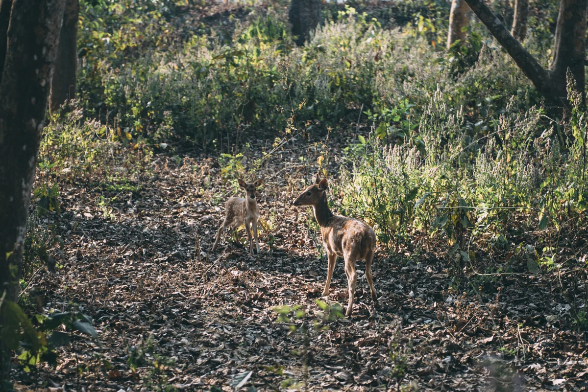 Nepal Blog Lola Photography_617.jpg