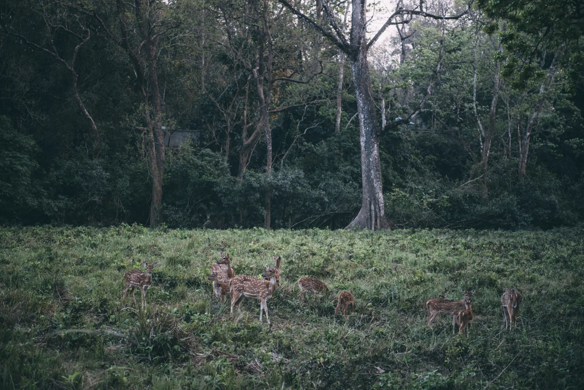 Nepal Blog Lola Photography_661.jpg