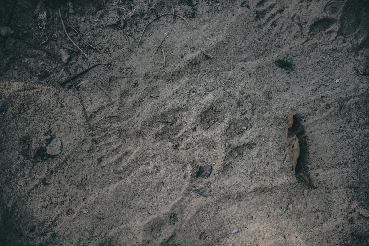 Nepal Blog Lola Photography_664.jpg