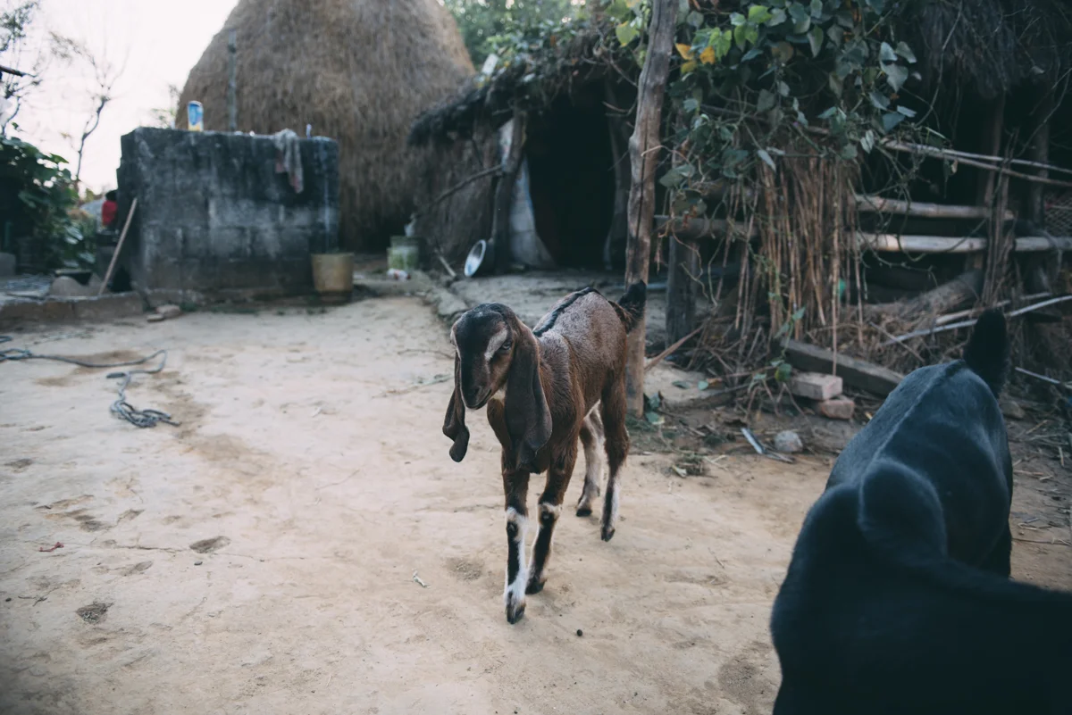 Nepal Blog Lola Photography_686.jpg