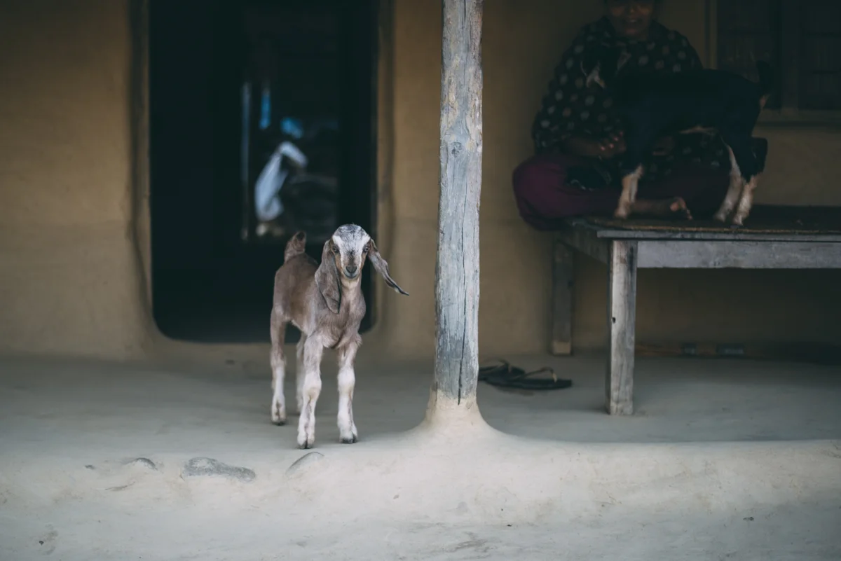 Nepal Blog Lola Photography_697.jpg