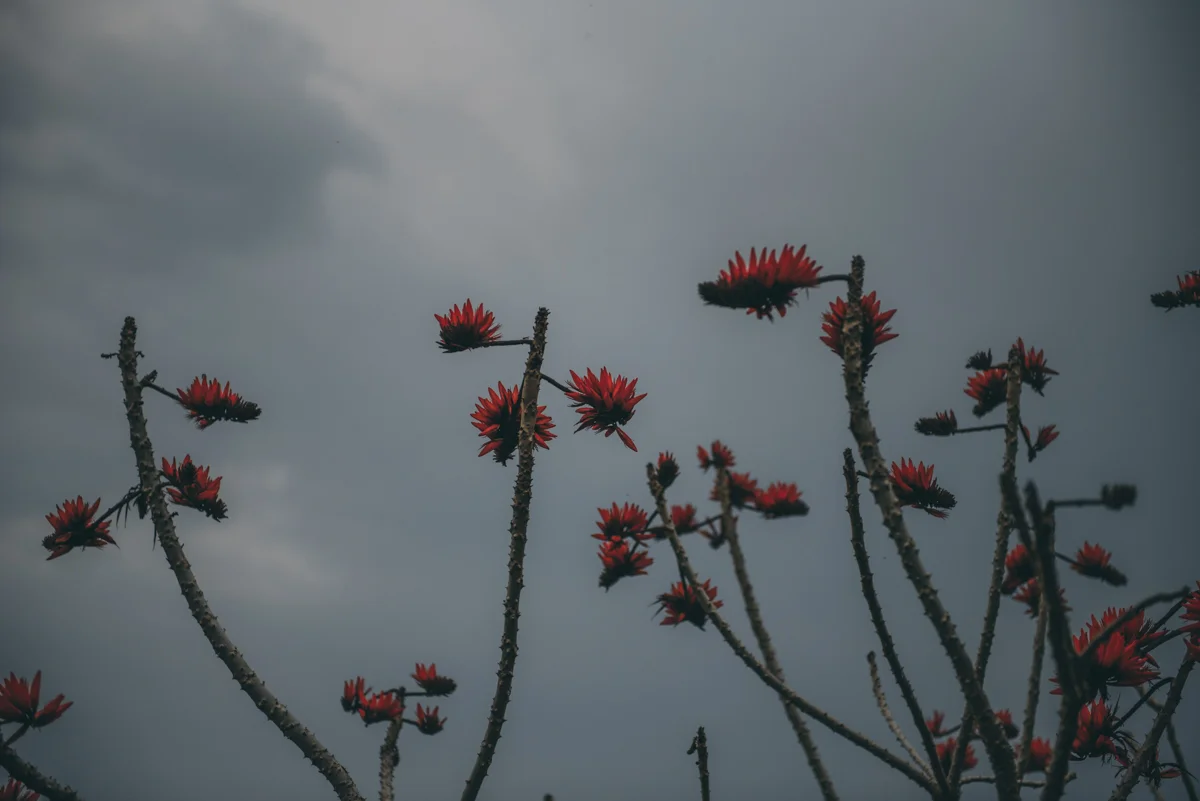 Nepal Blog Lola Photography_732.jpg