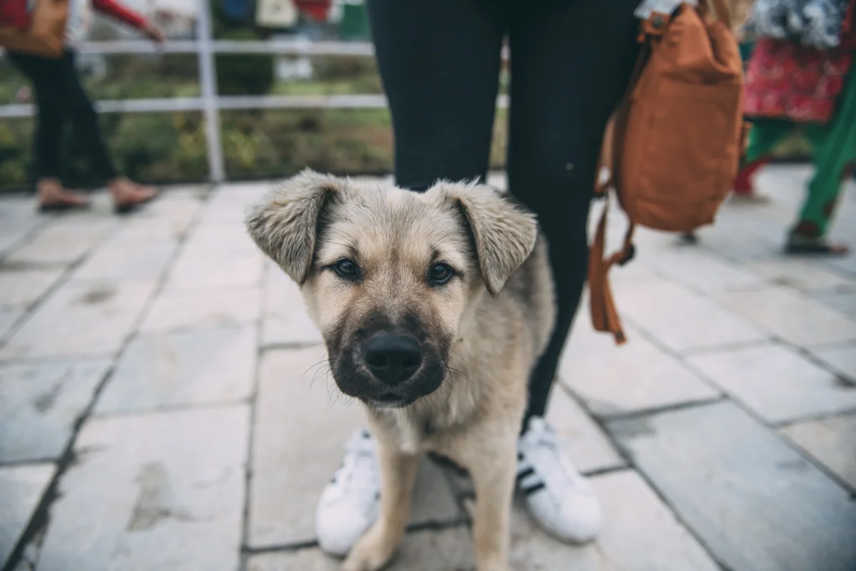 Nepal Blog Lola Photography_733.jpg