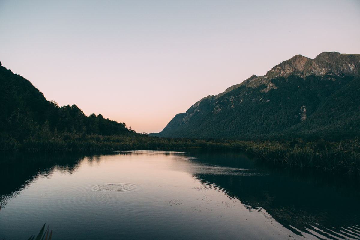 Milford Sound Blog Lola Photography_007.jpg