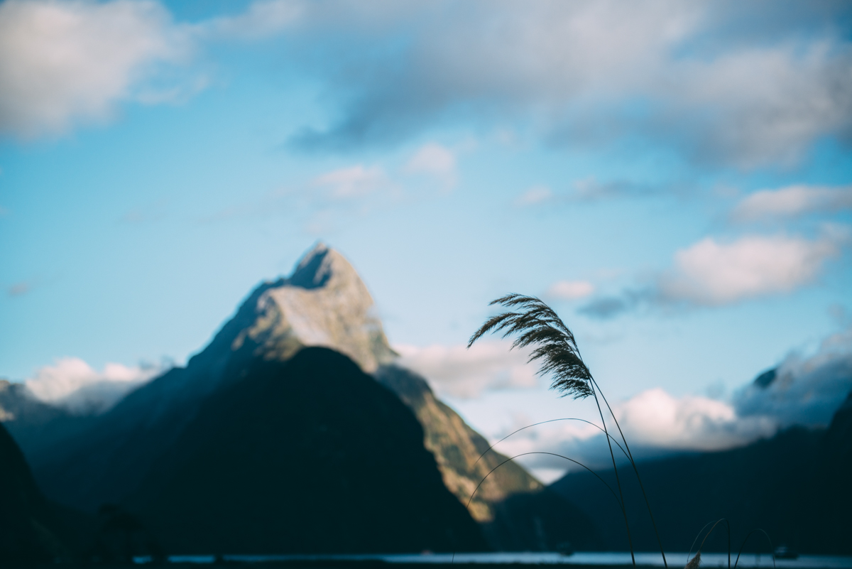 Milford Sound Blog Lola Photography_032.jpg