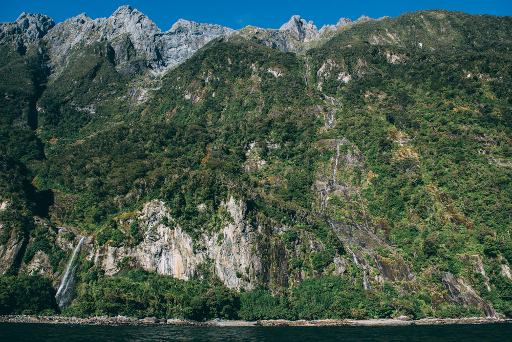 Milford Sound Blog Lola Photography_094.jpg