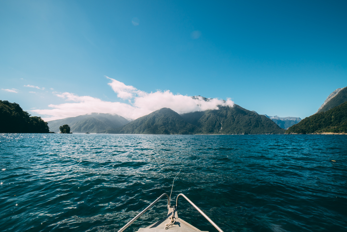 Milford Sound Blog Lola Photography_117.jpg