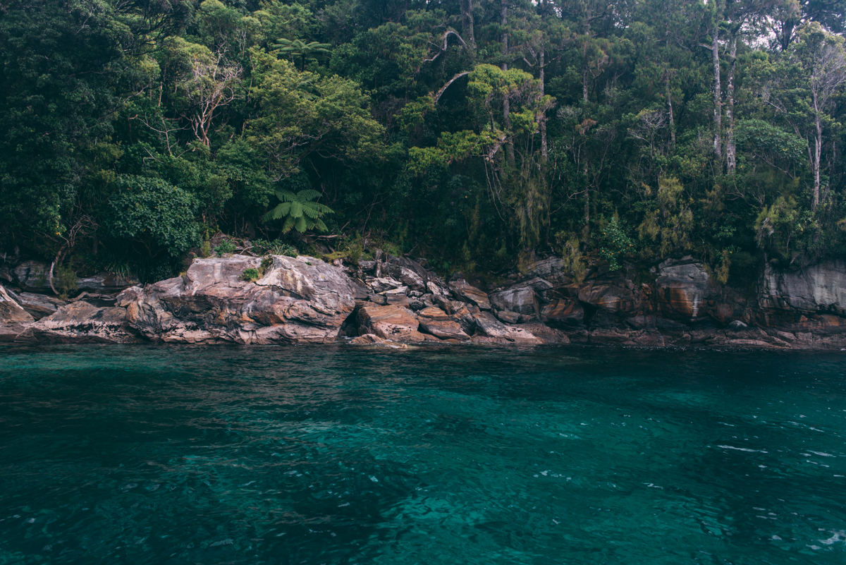 Milford Sound Blog Lola Photography_210.jpg