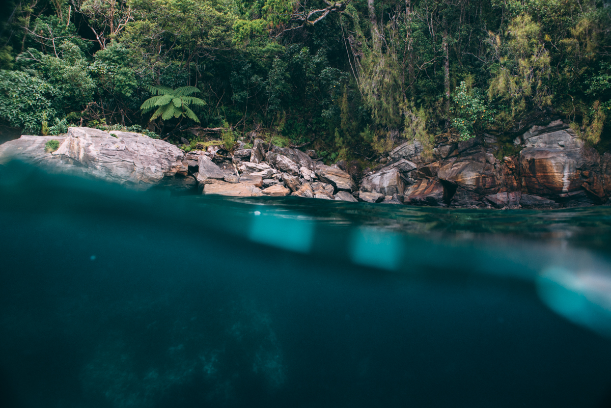 Milford Sound Blog Lola Photography_221.jpg