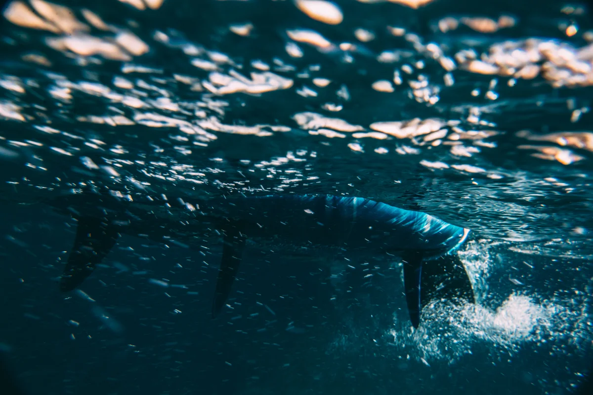 Medsailors Lola Photography blog_089.jpg