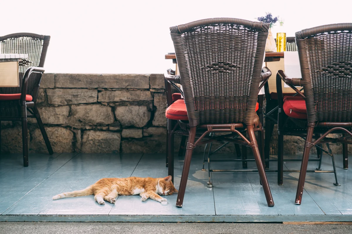 Medsailors Lola Photography blog_127.jpg