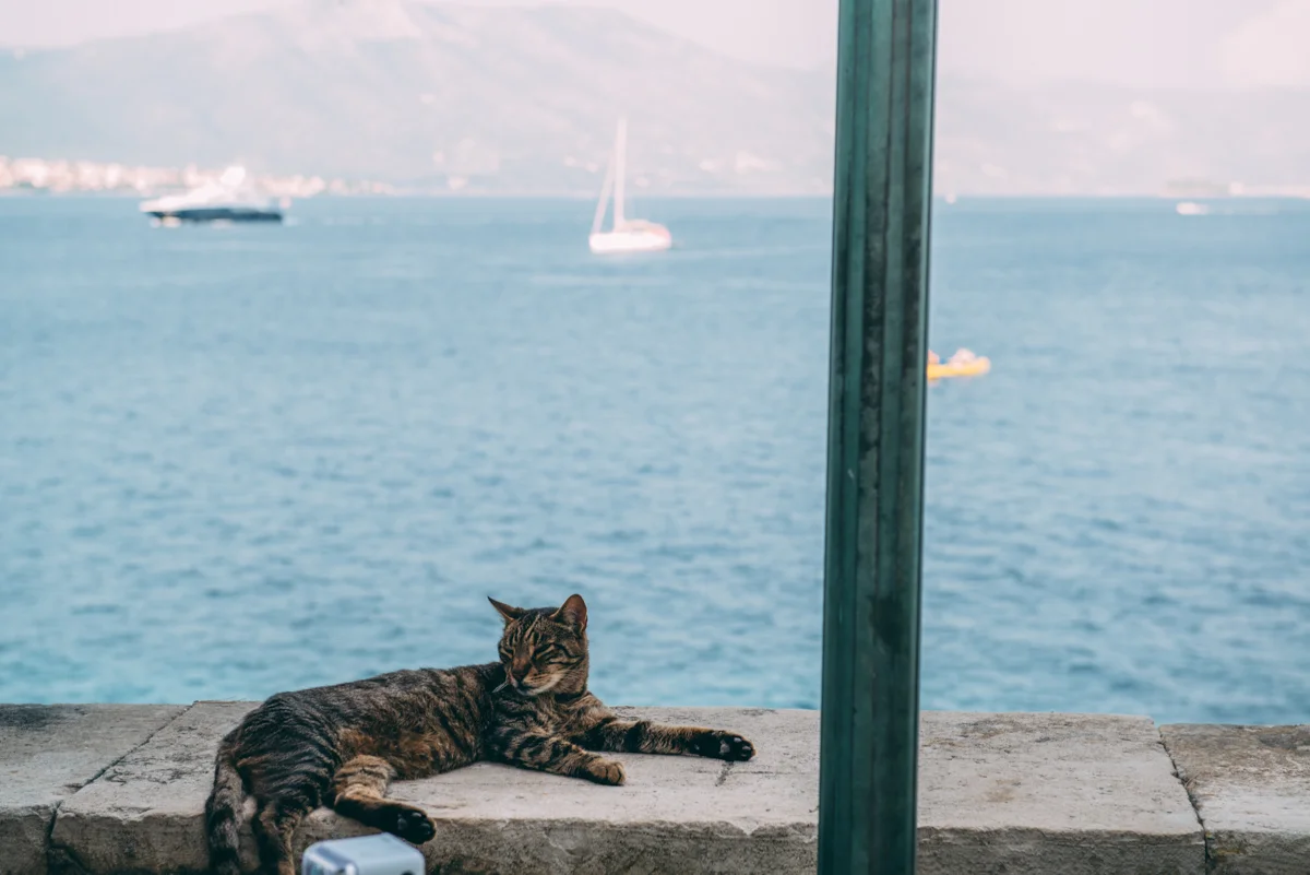 Medsailors Lola Photography blog_131.jpg