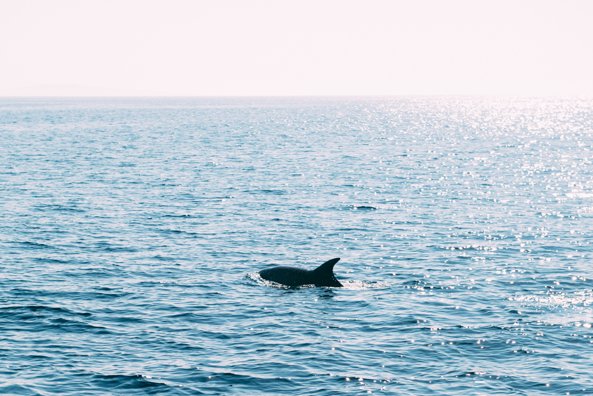 Medsailors Lola Photography blog_149.jpg