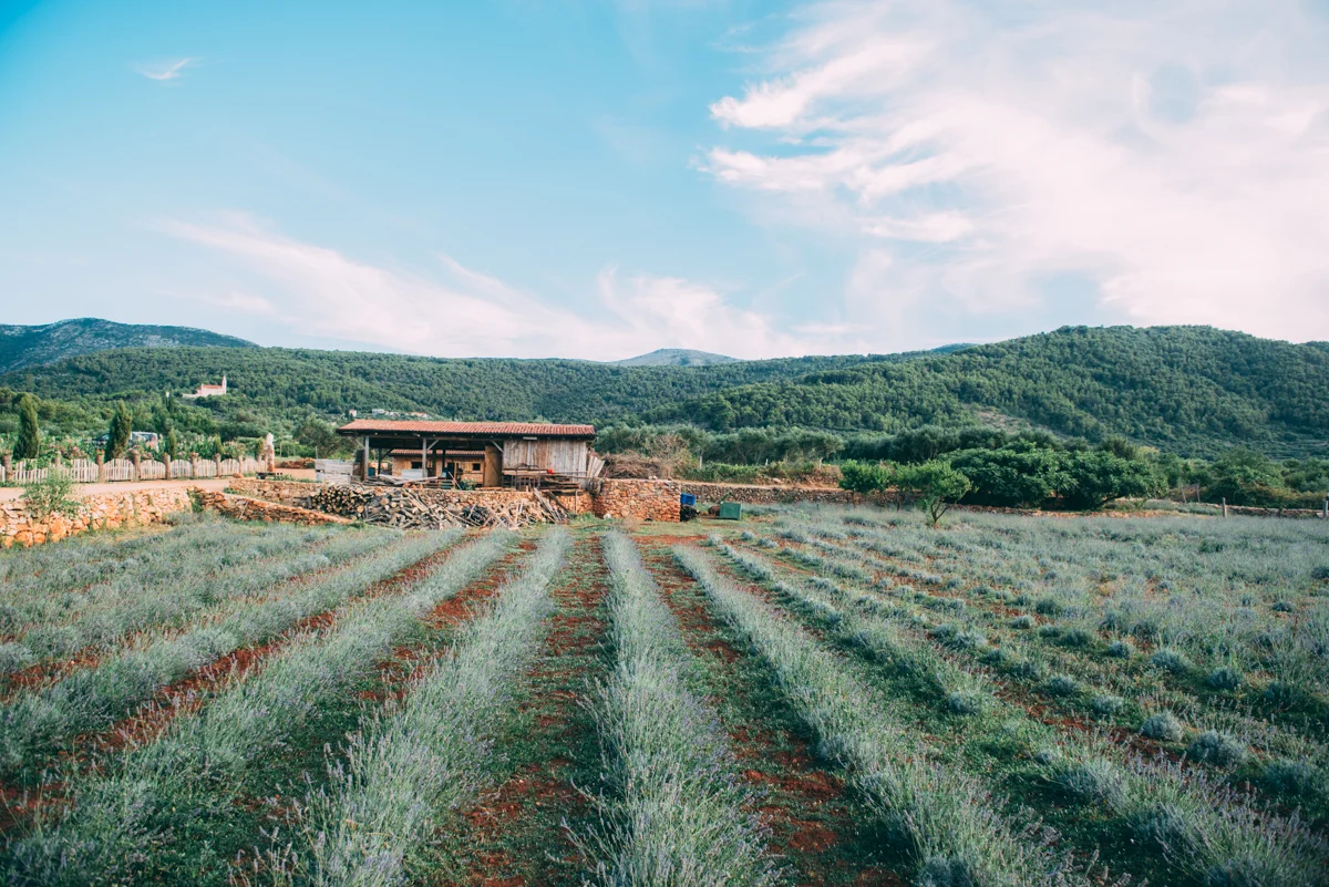 Medsailors Lola Photography blog_182.jpg