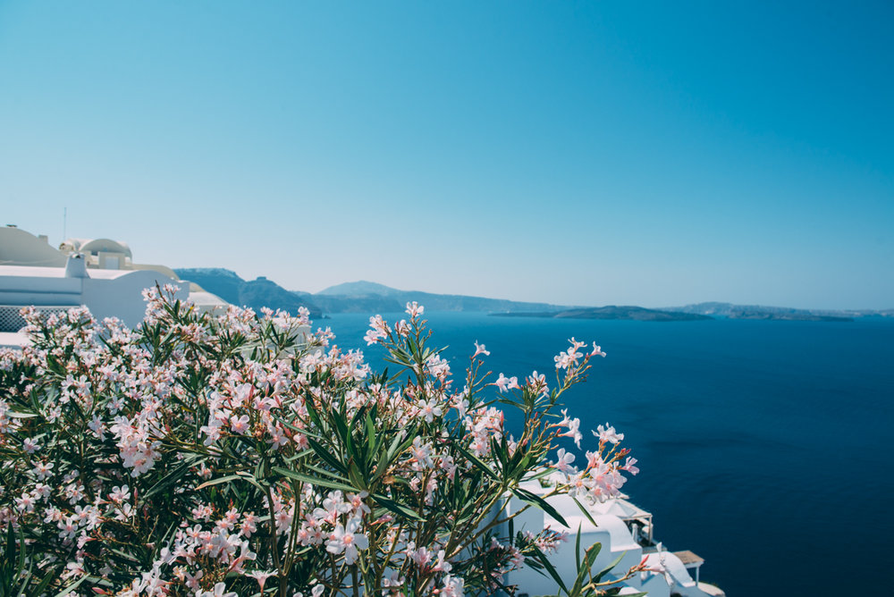 Santorini Greece Blog Lola Photography_011.jpg