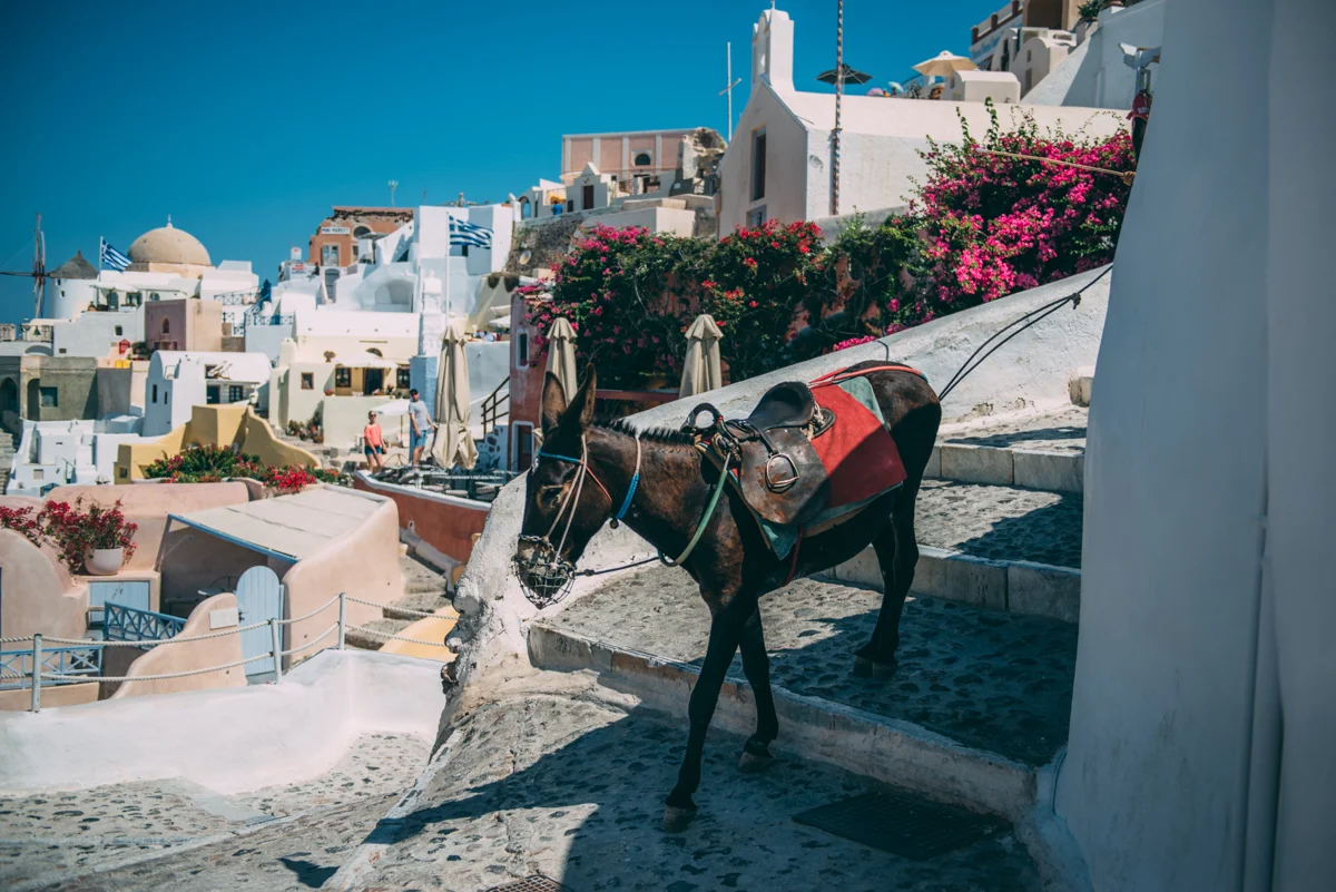 Santorini Greece Blog Lola Photography_041.jpg