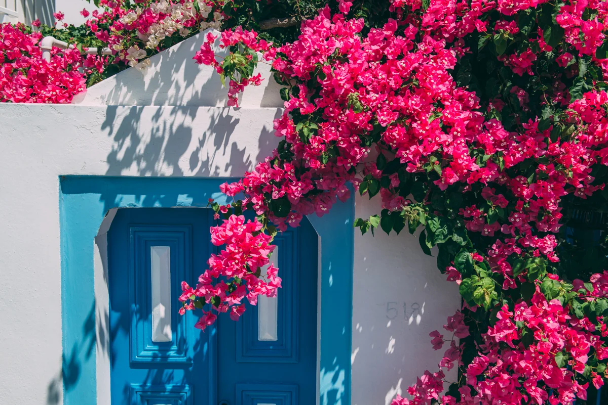 Santorini Greece Blog Lola Photography_065.jpg