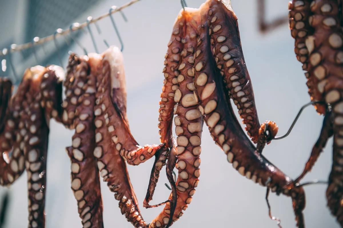 Santorini Greece Blog Lola Photography_136.jpg