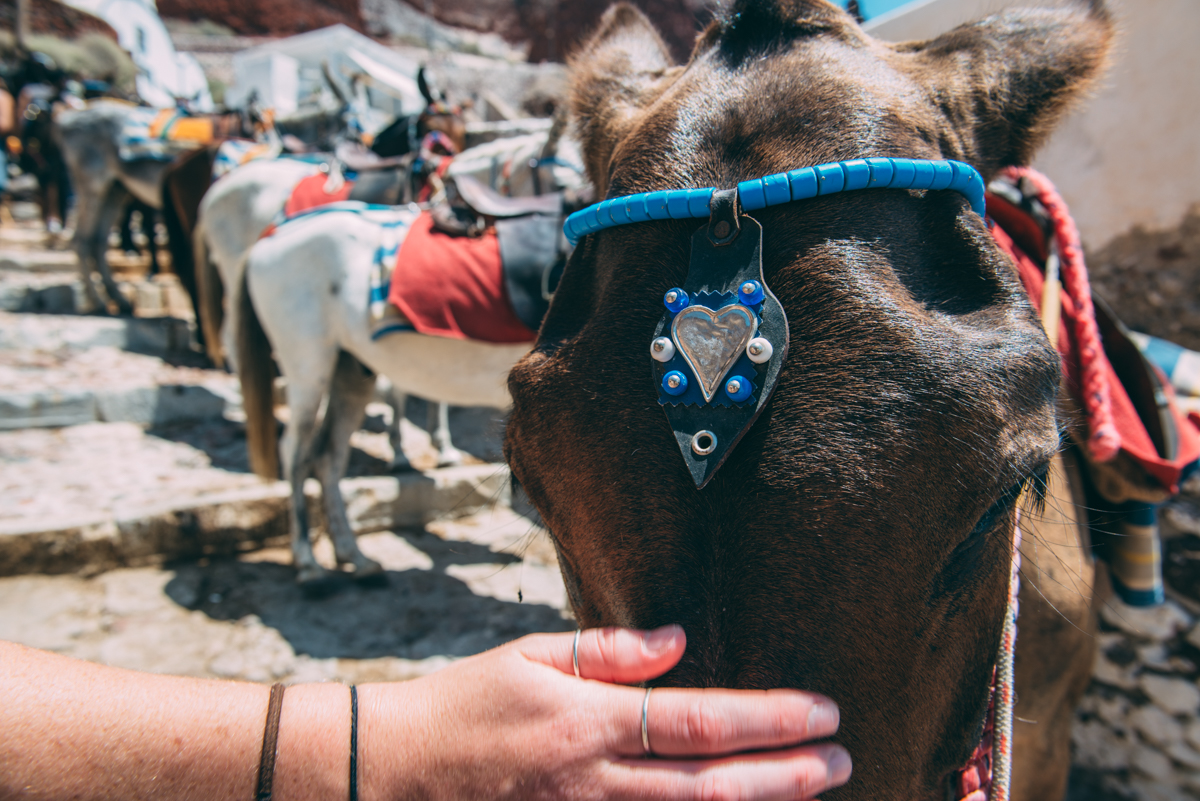 Santorini Greece Blog Lola Photography_162.jpg