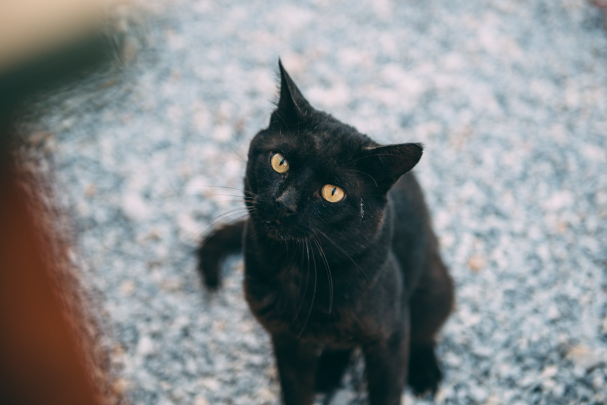 Naxos Greece Blog Lola Photography_016.jpg