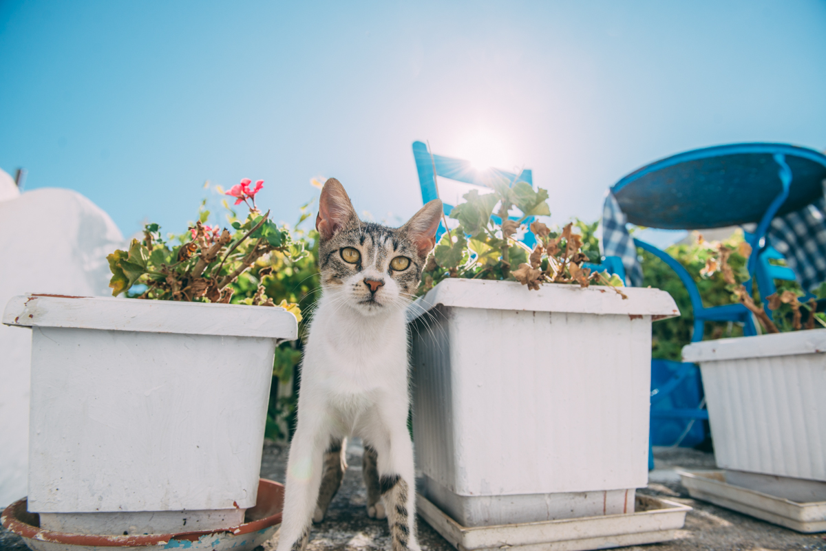 Naxos Greece Blog Lola Photography_056.jpg