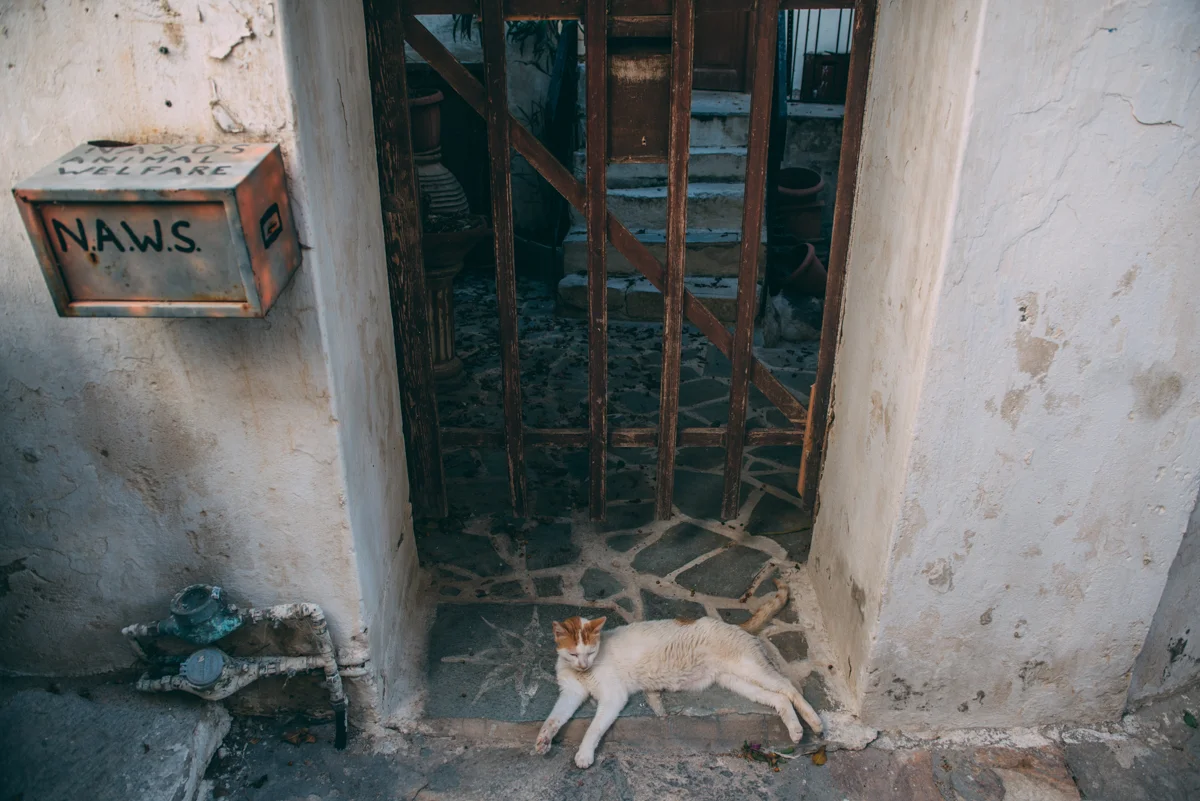 Naxos Greece Blog Lola Photography_082.jpg